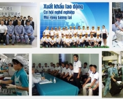 Những Ngành Nghề Xuất Khẩu Lao Động Nhật Bản Nhu Cầu Cao Hiện Nay (Cập nhật 2024)